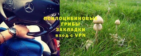гидропоника Абдулино