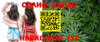 дмт Белореченск