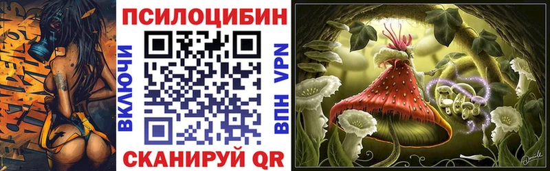 blacksprut зеркало  площадка состав  Галлюциногенные грибы GOLDEN TEACHER  Ртищево 