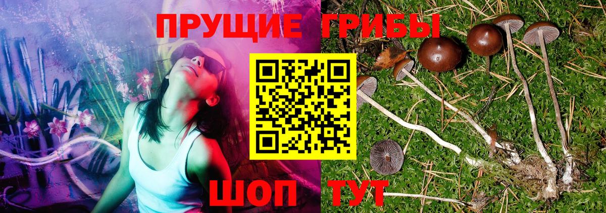 Галлюциногенные грибы Cubensis  Вход с VPN  купить  цена  Ртищево 